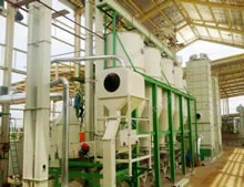 30~40tpd Parboiling & Drying  Plant